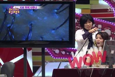 두피 현미경 진단